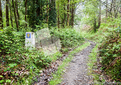 Image of Road sign of Camino de Santiago