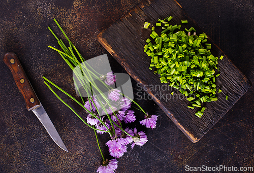Image of Green chives or allium in bloom with purple violet flowers and green stems