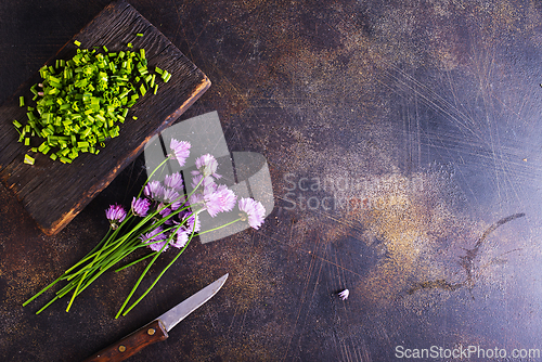 Image of Green chives or allium in bloom with purple violet flowers and green stems