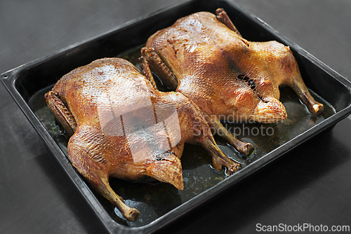 Image of Roasted duck