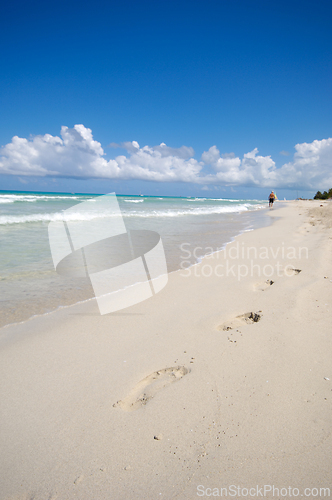 Image of Costline at tropical beach