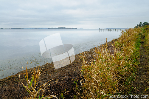 Image of Calm shoreline in Denmark with gentle waves lapping against coas