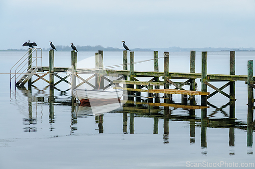 Image of Calm waters reflect a serene dock with cormorants perched peacef