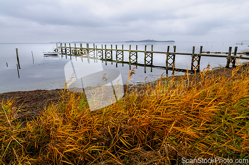 Image of Golden reeds sway gently by the calm water near a secluded dock 