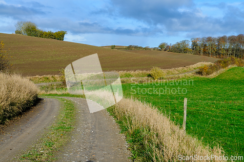Image of Gentle curves of a countryside path winding through lush fields 