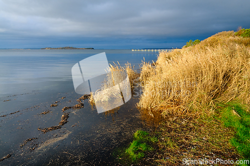 Image of Tranquil waters mirror a moody sky at the serene lakeside grassl