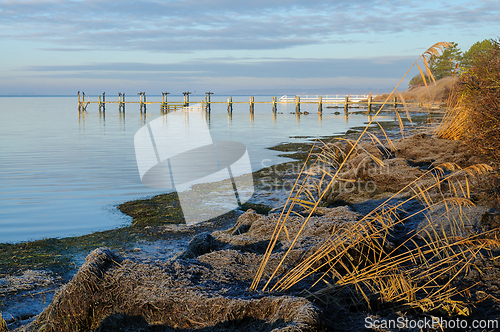 Image of Serenity at dawn by the calm waterfront with gentle reeds swayin
