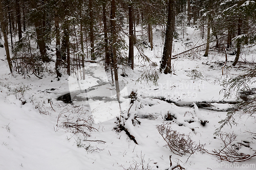 Image of Skog