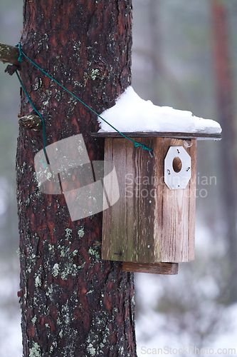 Image of Bird house on a tree in winter