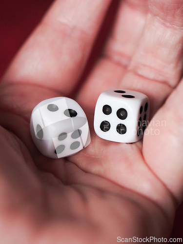 Image of Two white dice in a hand