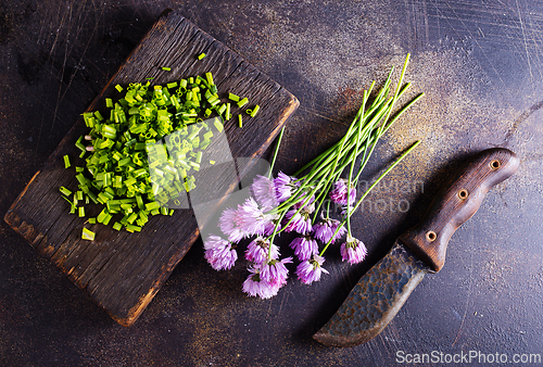 Image of Green chives or allium in bloom with purple violet flowers and green stems