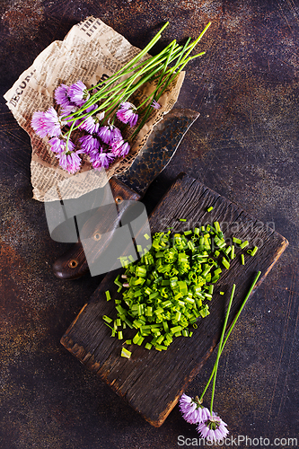Image of Green chives or allium in bloom with purple violet flowers and green stems
