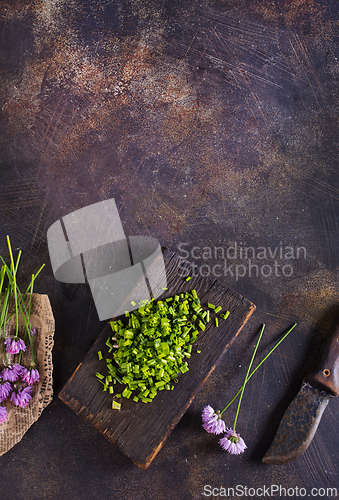 Image of Green chives or allium in bloom with purple violet flowers and green stems