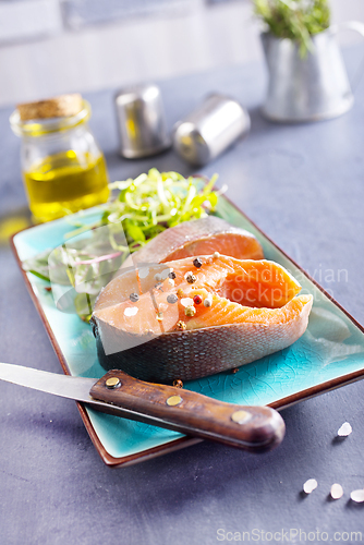 Image of Fresh raw salmon steak with spices. Healthy seafood food