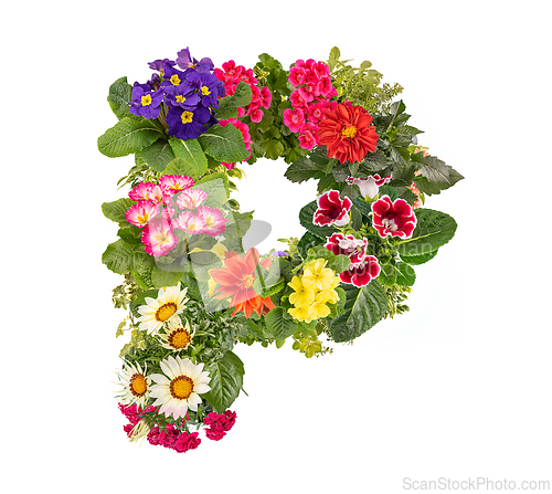 Image of Letter P made of various colorful flowers