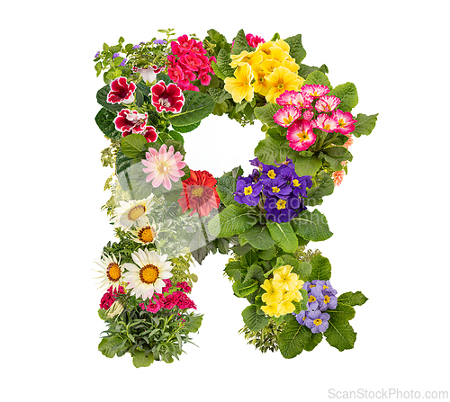 Image of Letter R made of various colorful flowers