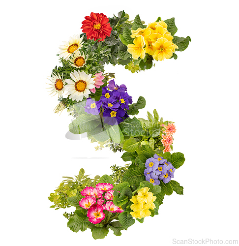 Image of Letter S made of various colorful flowers
