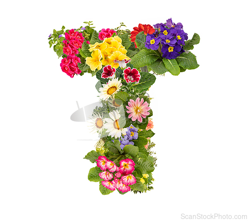 Image of Letter T made of various colorful flowers