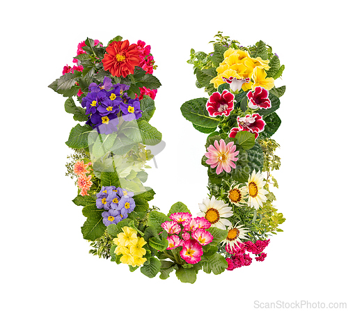 Image of Letter U made of various colorful flowers