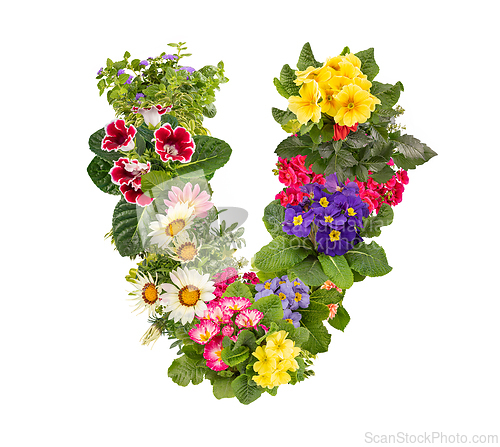 Image of Letter V made of various colorful flowers