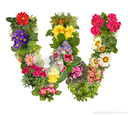 Image of Letter W made of various colorful flowers