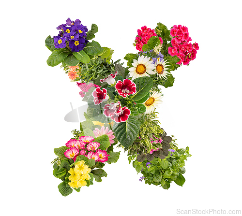 Image of Letter X made of various colorful flowers