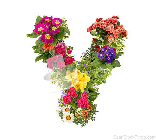 Image of Letter Y made of various colorful flowers