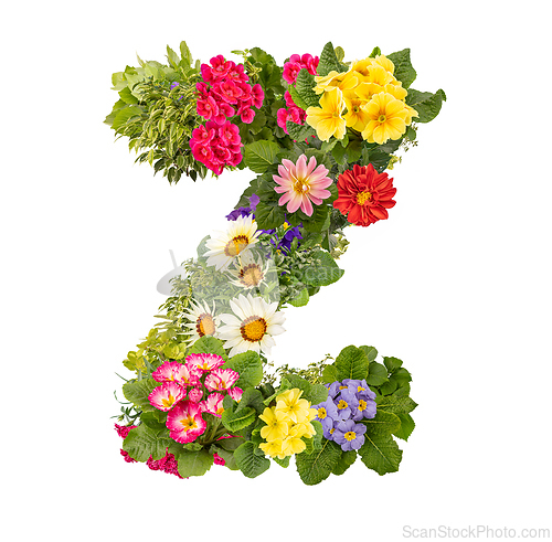 Image of Letter Z made of various colorful flowers