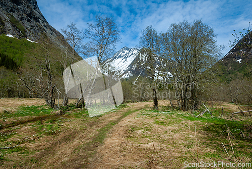 Image of Majestic mountains tower over a serene path through Norway's lus