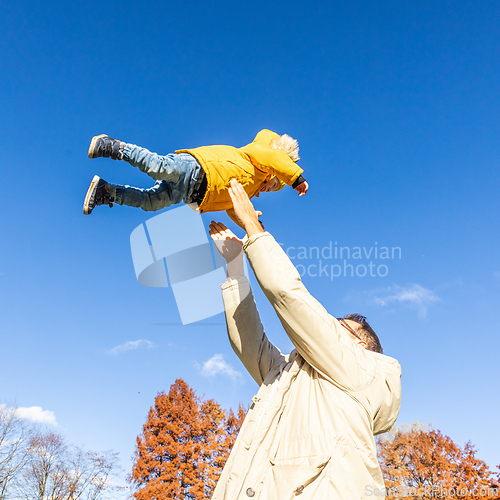 Image of More, more,...dad, that's fun. Happy young father throws his cute little baby boy up in the air. Father's Day, Father and his son baby boy playing and hugging outdoors in nature in fall.