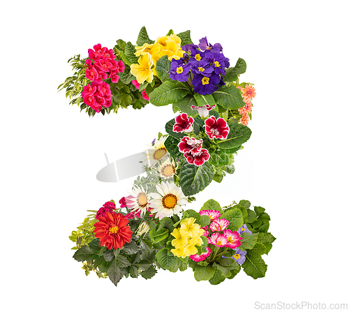 Image of Number 2 made of flowers