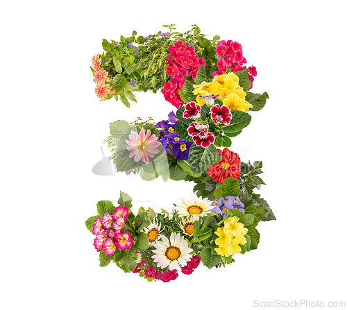 Image of Number 3 made of flowers