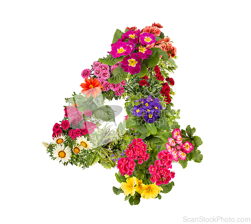Image of Number 4 made of flowers
