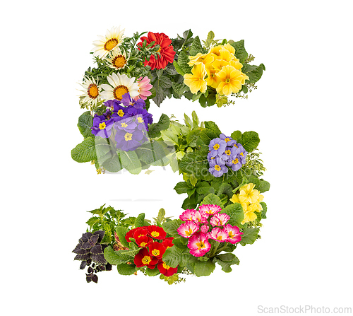 Image of Number 5 made of flowers