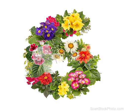 Image of Number 6 made of flowers