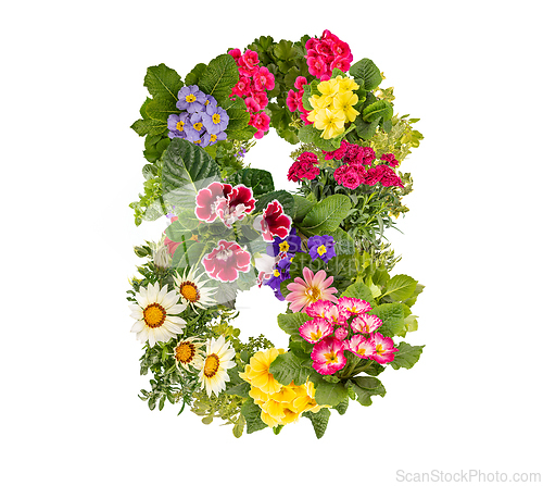 Image of Number 8 made of flowers