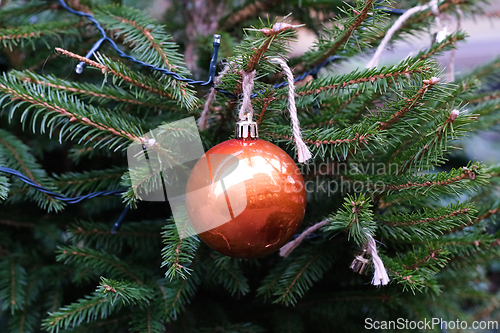 Image of Christmas tree ball