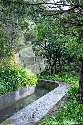 Image of beautiful Madeira landscape