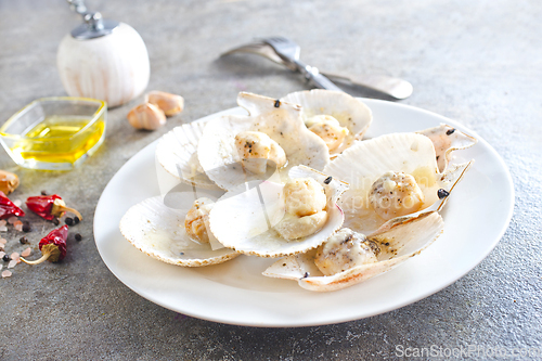 Image of Fresh appetizing scallops with shells served