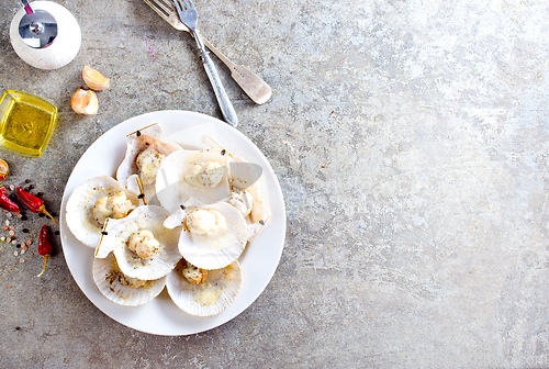 Image of Fresh appetizing scallops with shells served