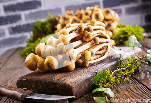 Image of Mushrooms of honeydew are lying on a wooden table. View from above.