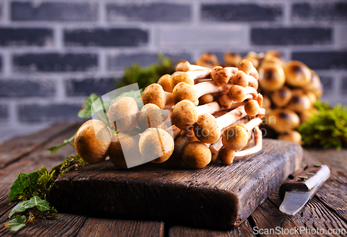 Image of Mushrooms of honeydew are lying on a wooden table. View from above.