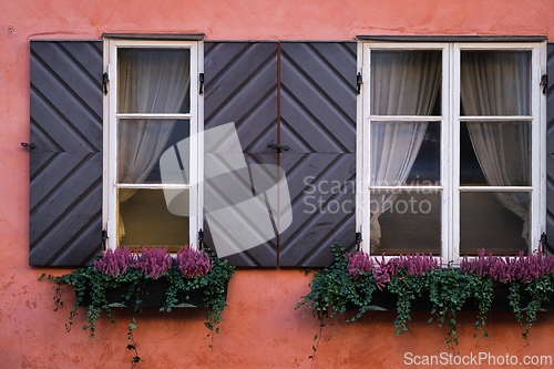 Image of Windows with flowers