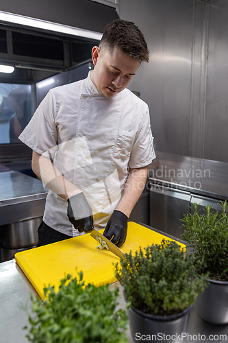 Image of Chef skillfully slicing vegetables
