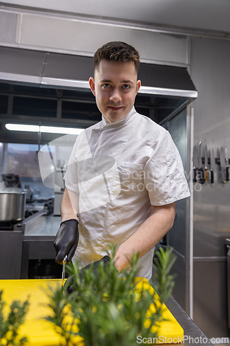 Image of Chef preparing ingredients