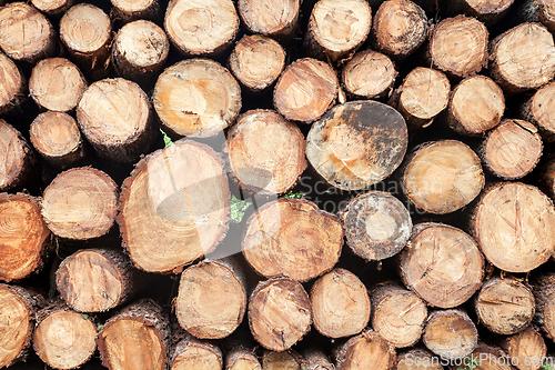 Image of Wood stack close up background