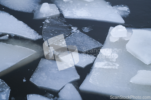 Image of Ice floes in the sea
