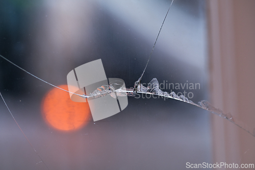 Image of Broken Glass of a Window