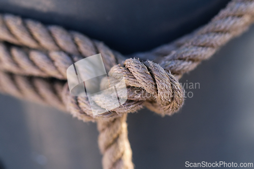Image of Closeup of a knot