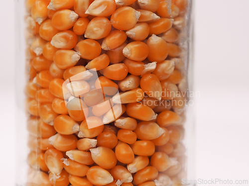 Image of Popcorn kernels